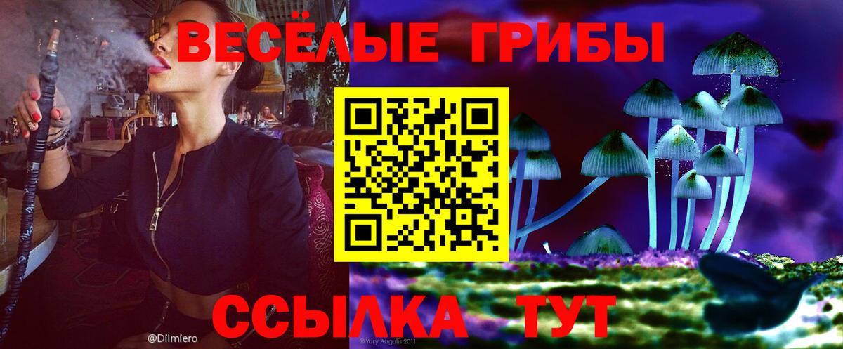 Приморско-Ахтарск  продажа наркотиков  Вход с VPN  Псилоцибиновые грибы мухоморы  Псилоцибиновые грибы прущие грибы 